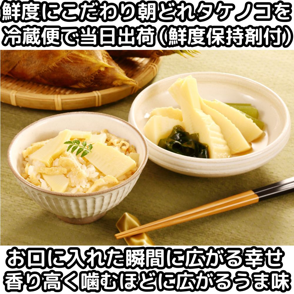 熊本タケノコベネ2