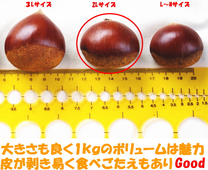 高知四万十栗2lベネ3