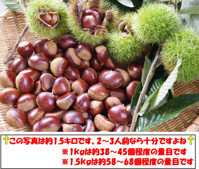 高知四万十栗2lベネ4