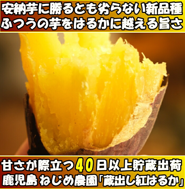 紅はるか100本シルク50本安納芋50本紅あずま50本金時50本 パ-プル50本 楽天市場】【予約】選べる！さつまいも苗 100本入り 紅はるか