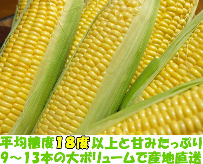 希少品種の白いとうもろこし【8本】 【甘いしずく】 | 野菜