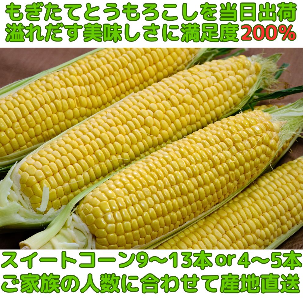 とうもろこし 生食OK 桃より甘い 3L〜L 4-5本 9-13本 朝どれ とうもろこし 生食OK 桃より甘い 3L〜L 4-5本 9-13本 朝どれ