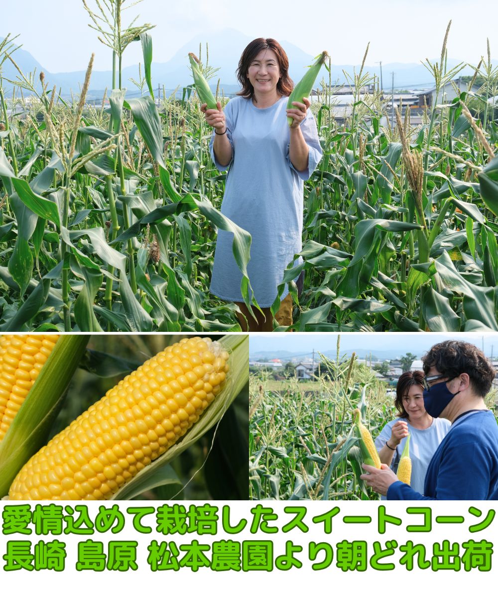 長崎産とうもろこしベネ3