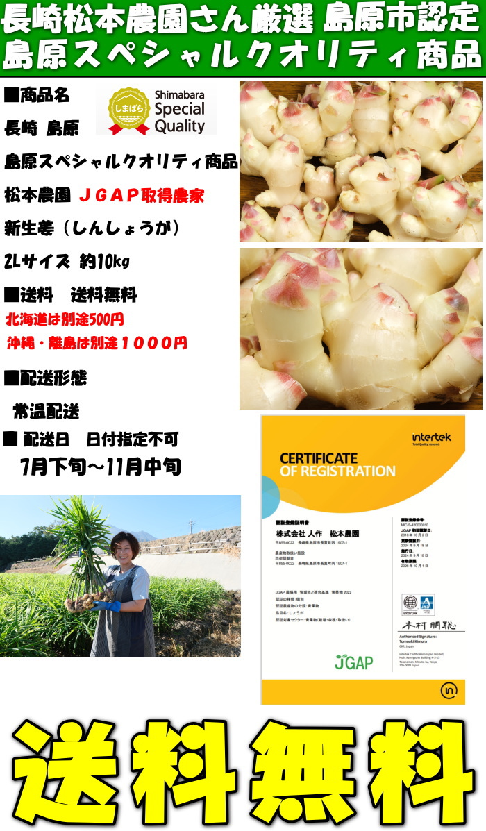 長崎島原新生姜10kgスペック