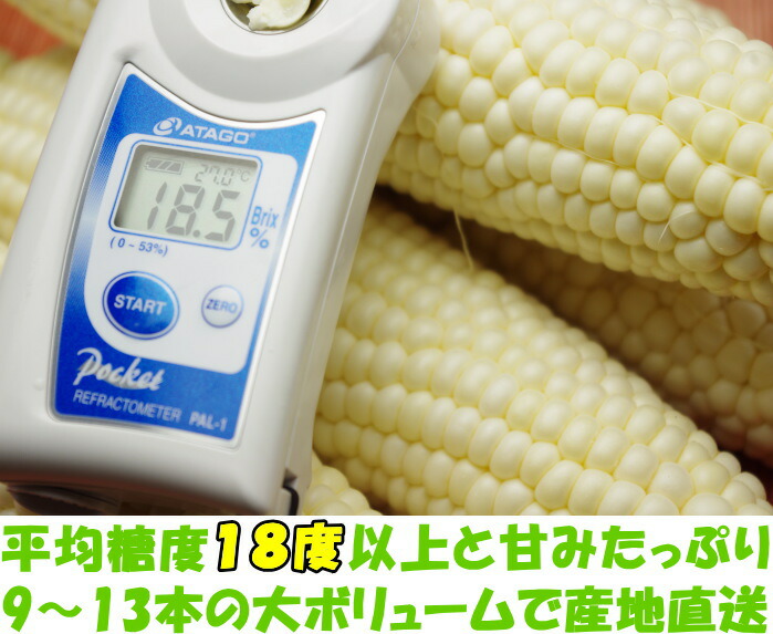 長崎ホワイトコーンベネ2