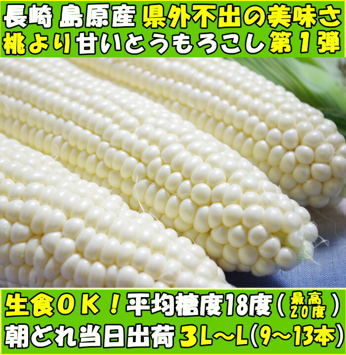 長崎ホワイトとうもろこしファースト