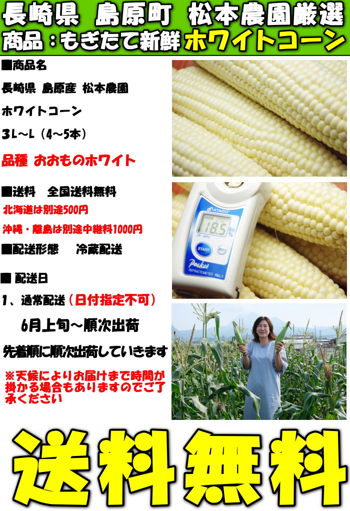 長崎ホワイトコーンスペック