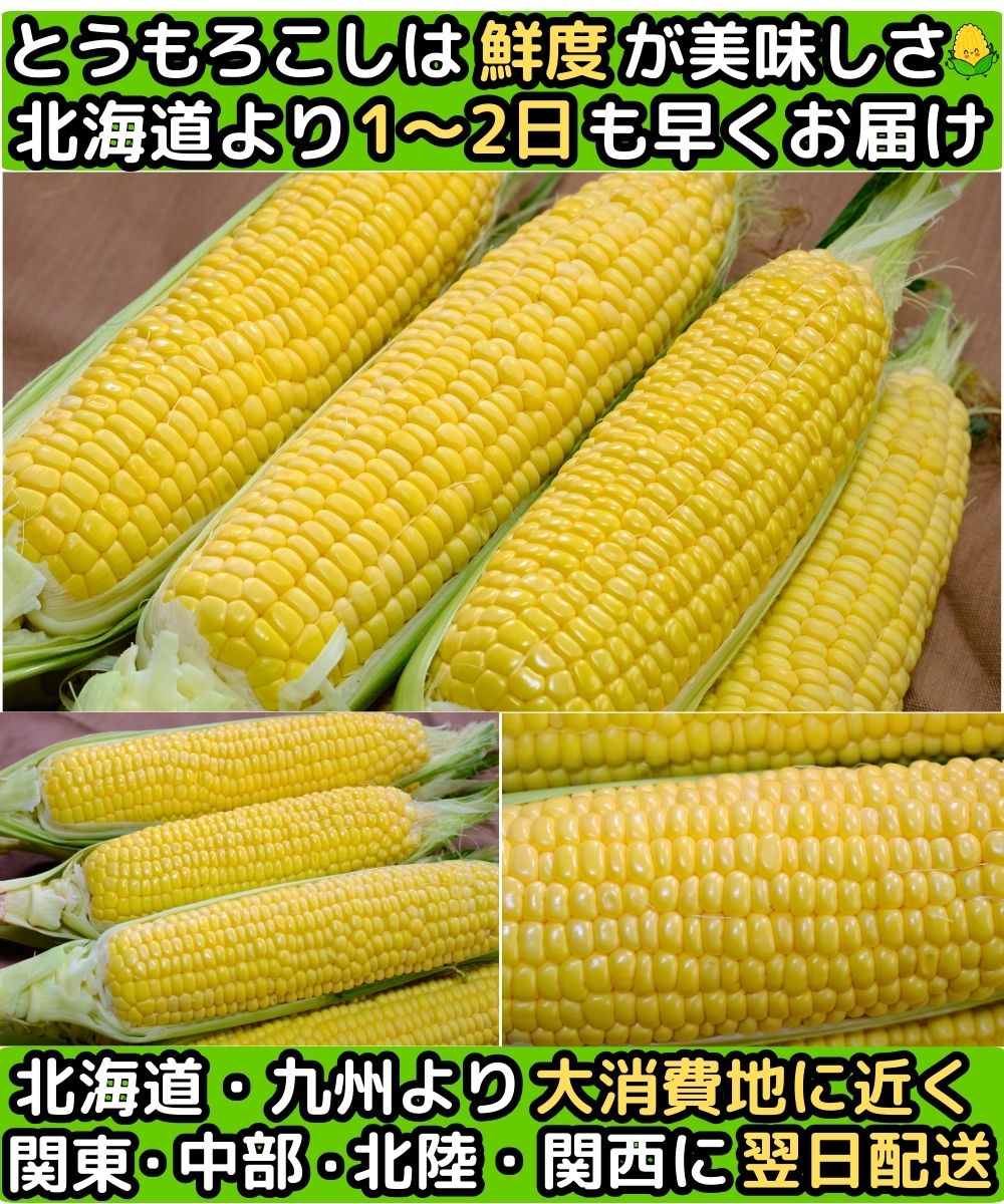 長野訳ありとうもろこしベネ6