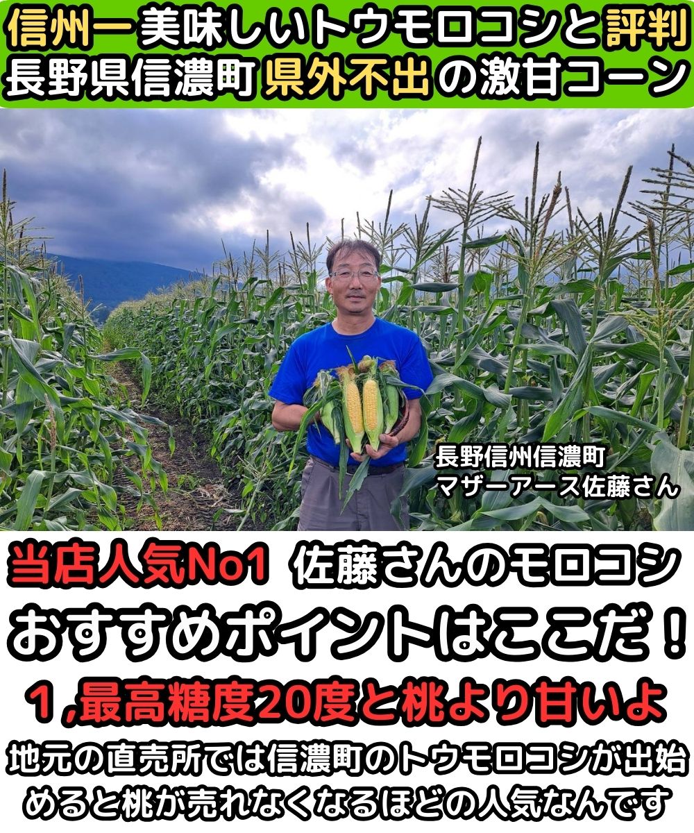 長野桃より甘いとうもろこし生産者1