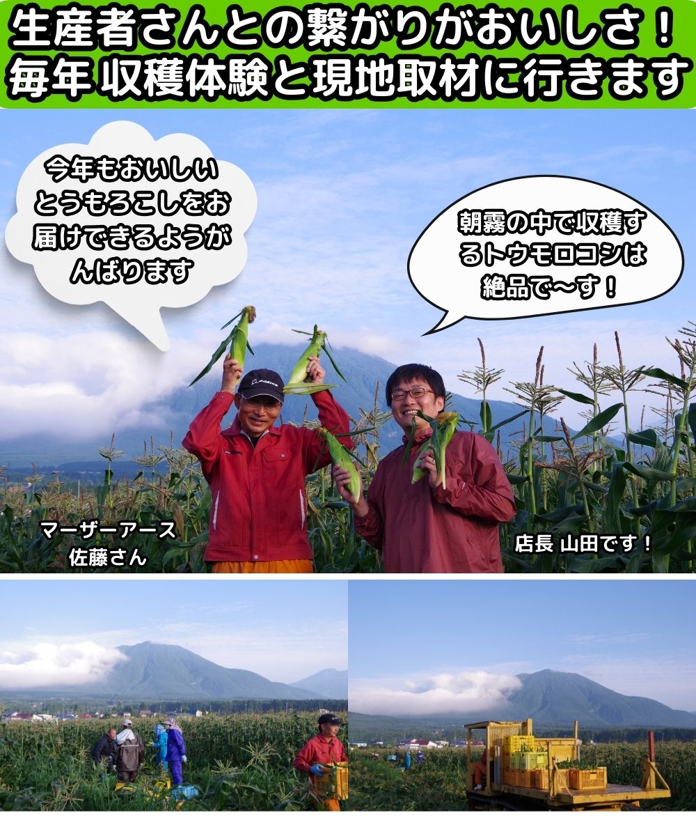 長野桃より甘いとうもろこし生産者4