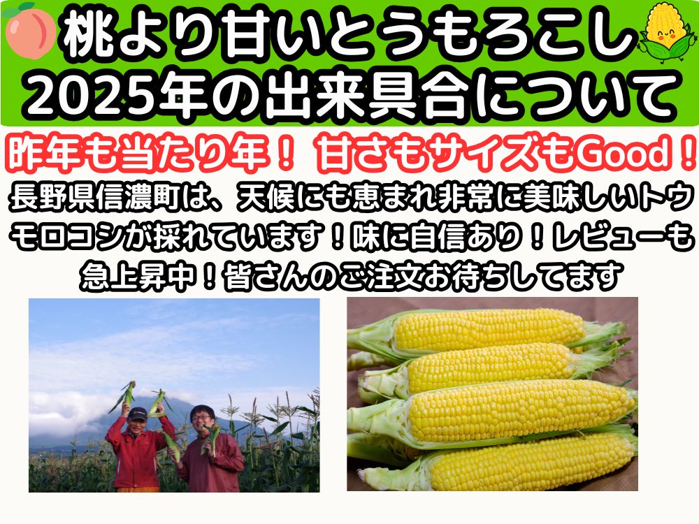 長野とうもろこし2025年出来具合
