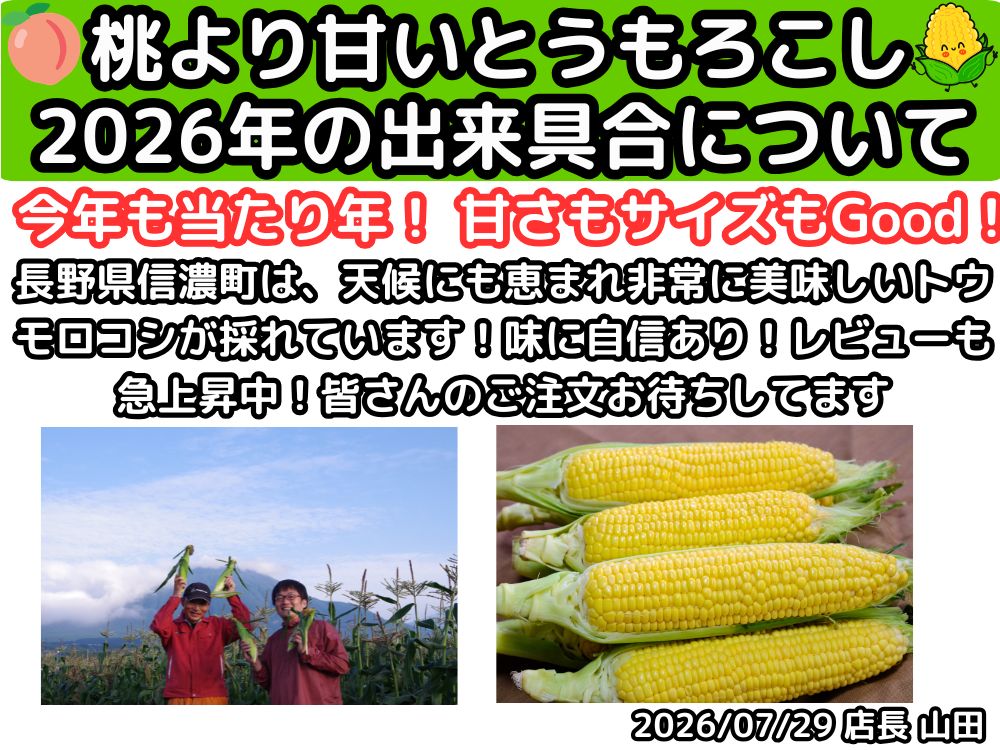 長野とうもろこし2025年出来具合