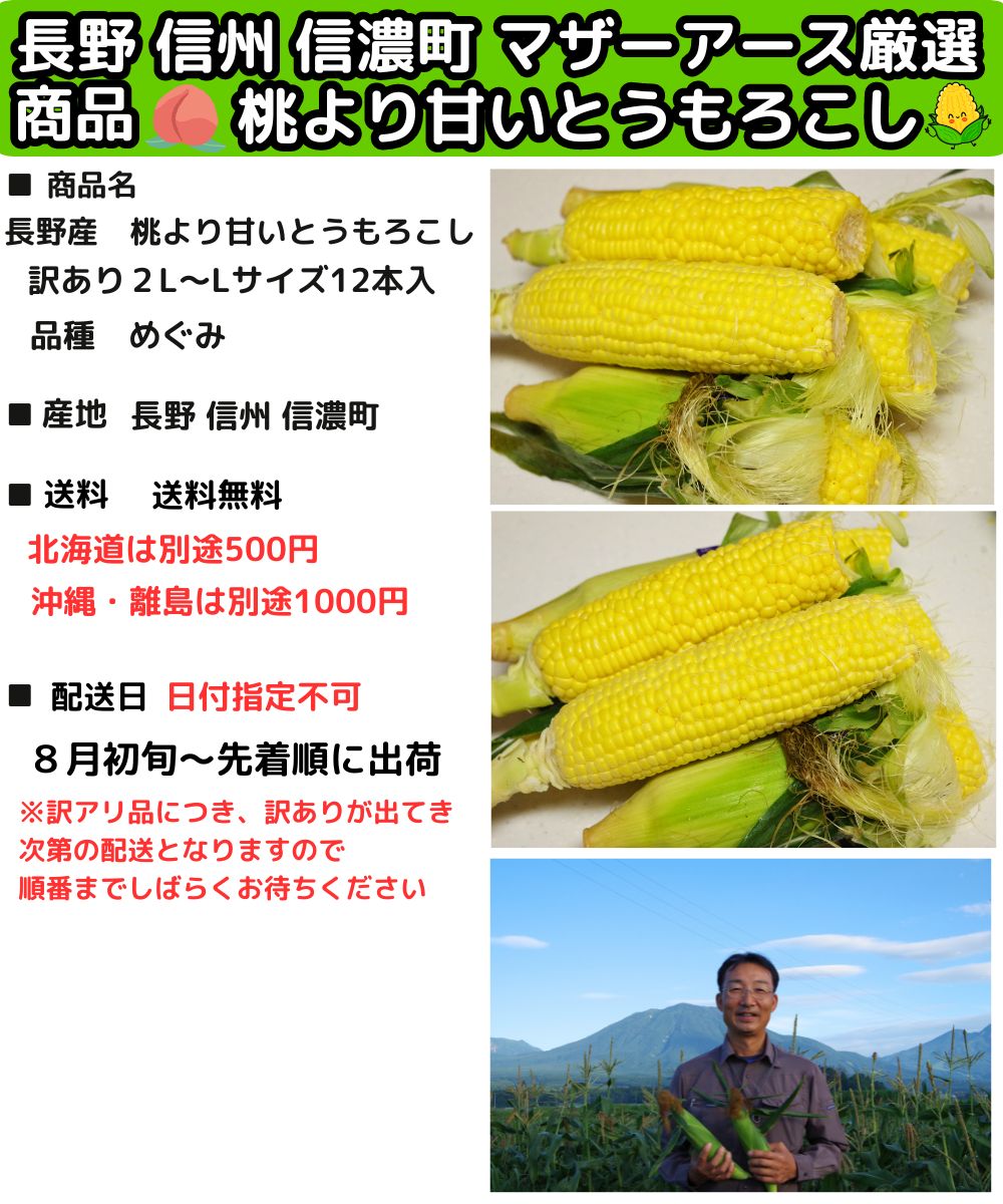 長野訳ありとうもろこしスペック
