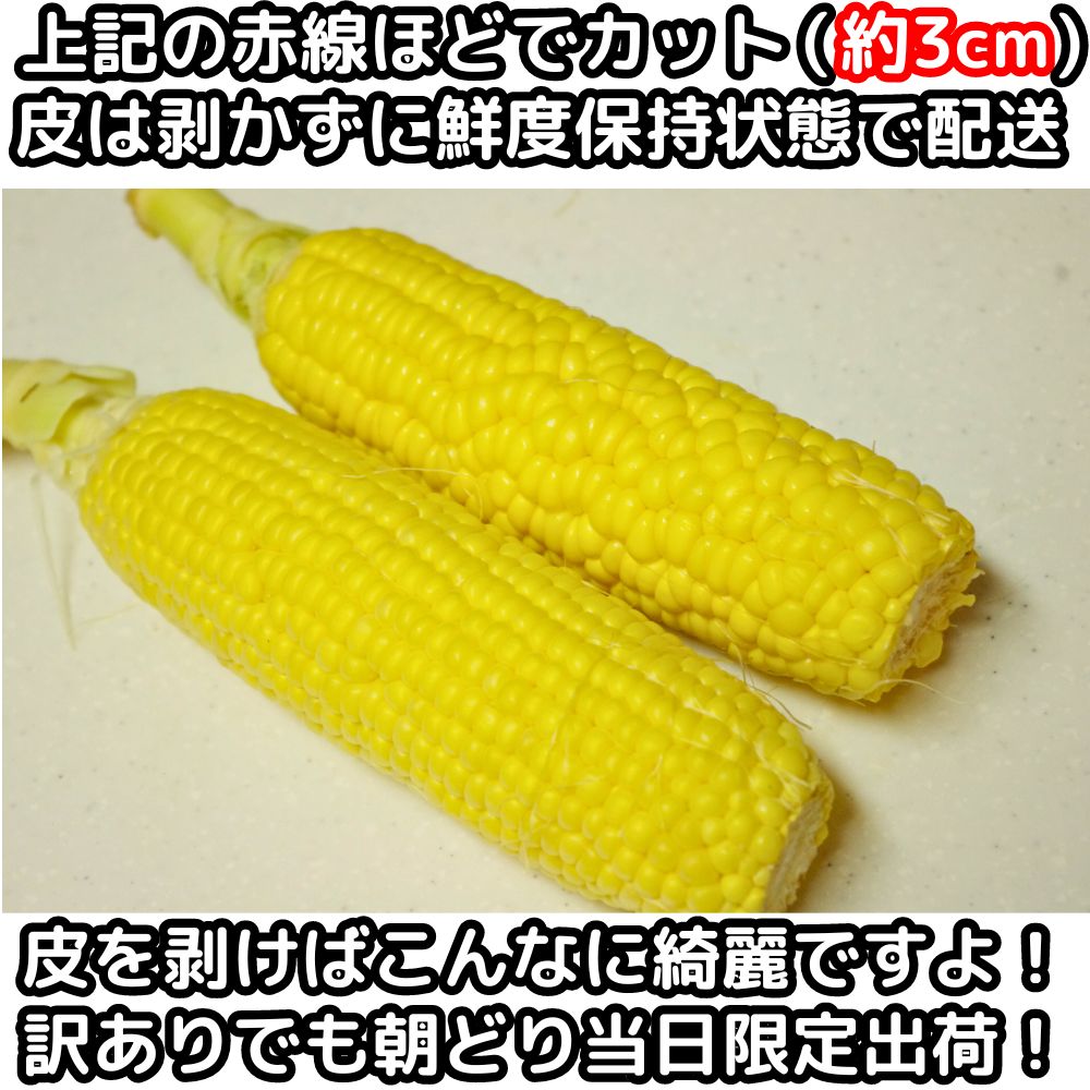 長野訳ありとうもろこしベネ3
