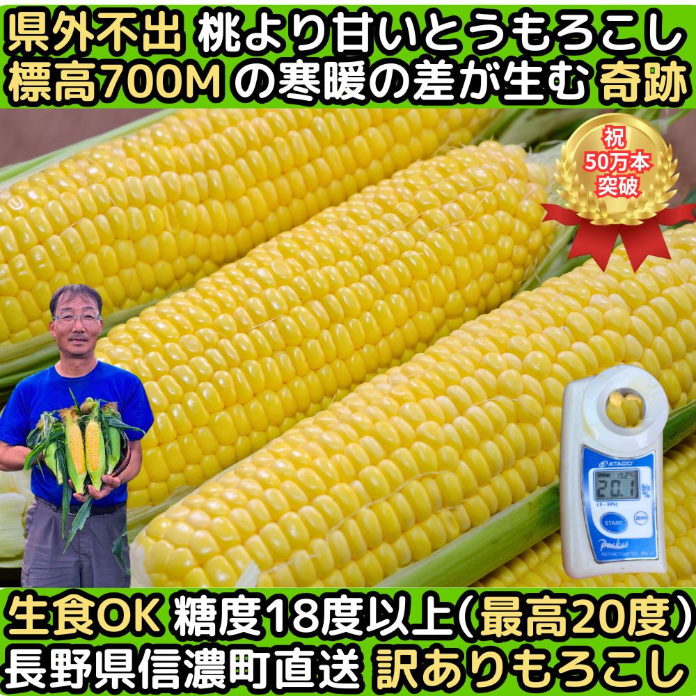 長野訳ありとうもろこしファースト