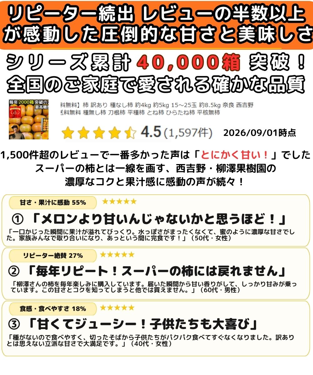 奈良たねなし柿レビュー