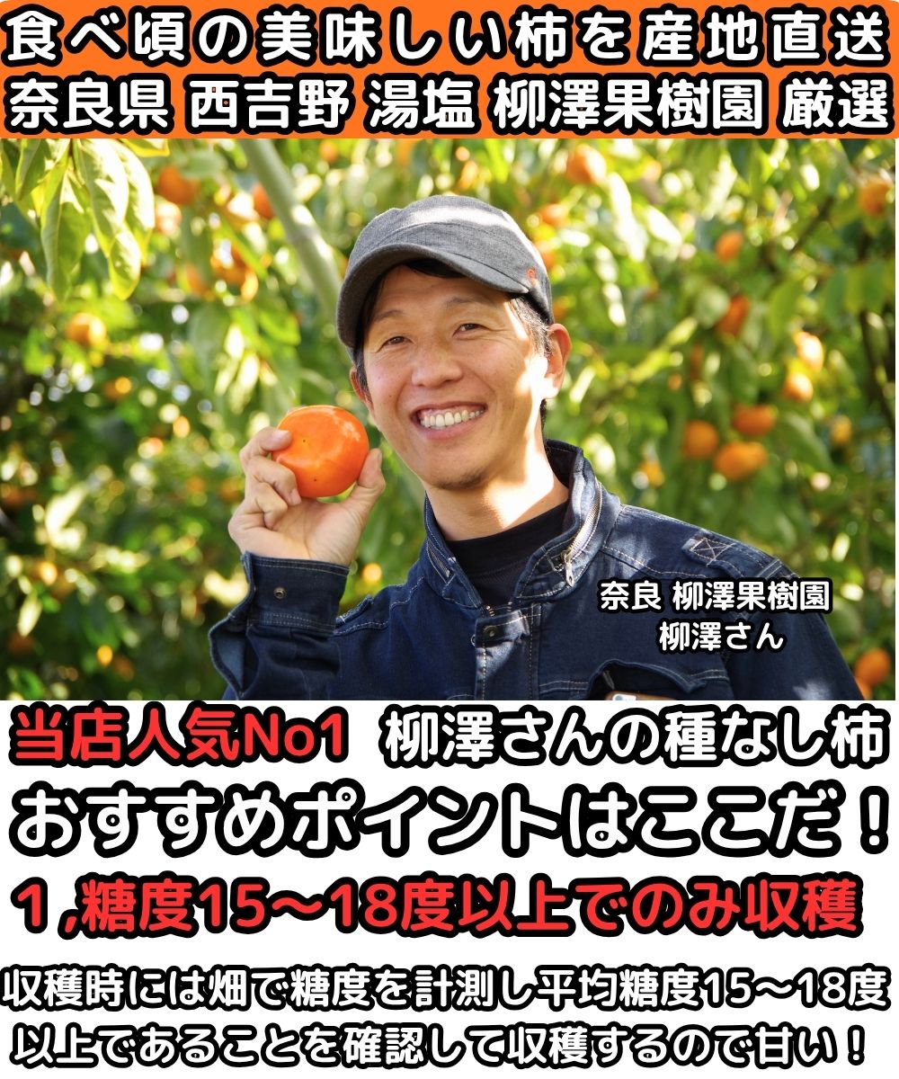 奈良種なし柿生産者紹介1