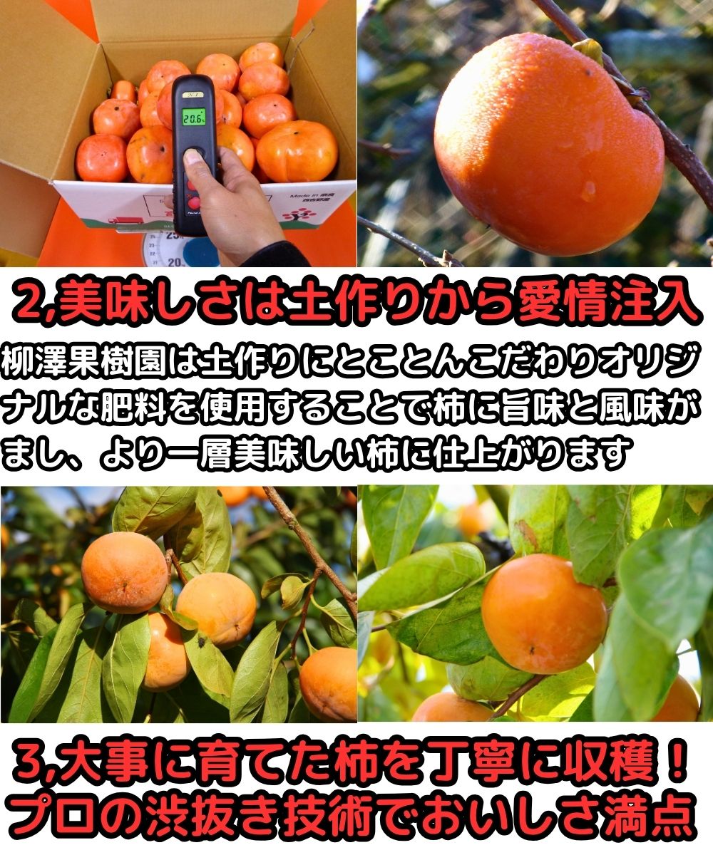 奈良種なし柿生産者2