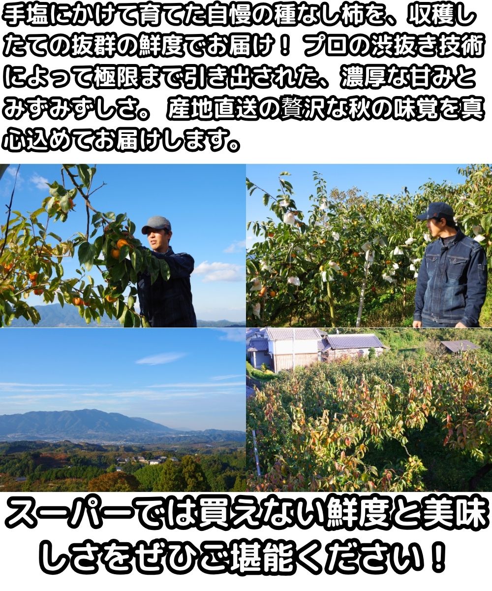 奈良種なし柿生産者紹介3