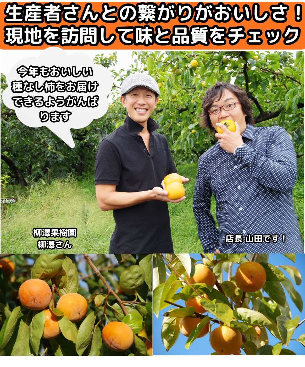 奈良種なし柿生産者紹介4