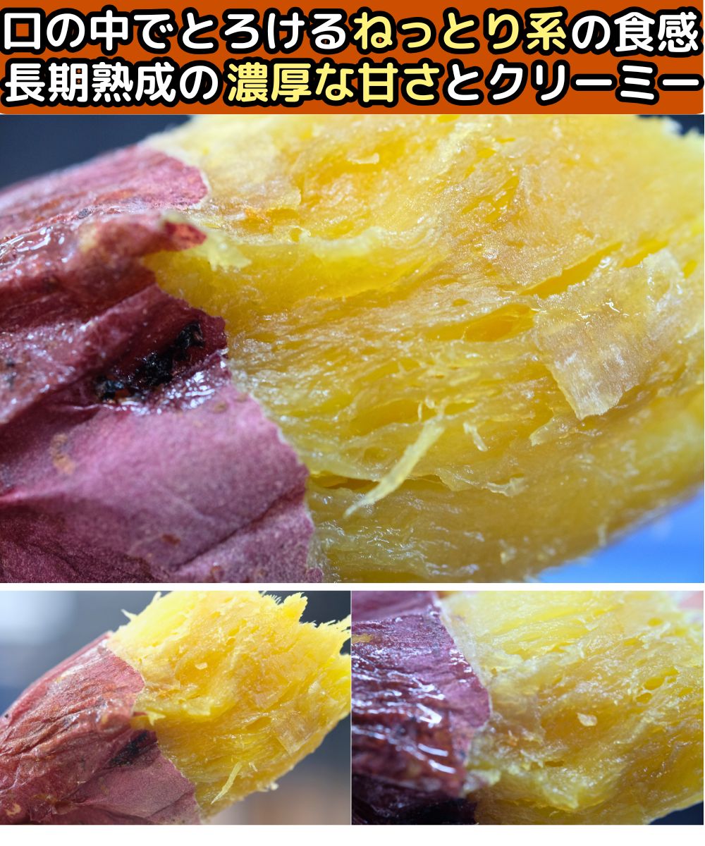 さつまいも 紅はるか 5kg l〜m or S 完熟 甘い 熟成 はるか姫 大分