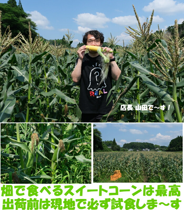 大分とうもろこしベネ4