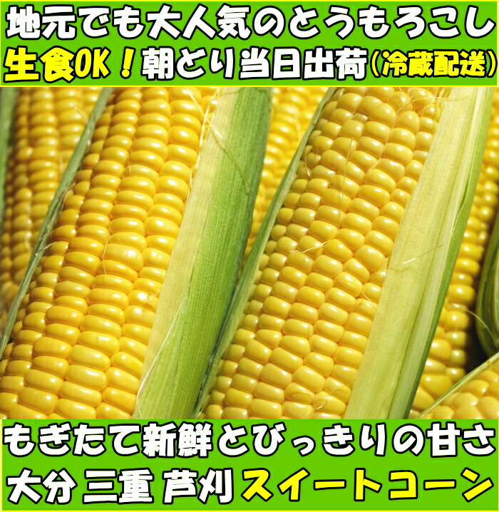 大分とうもろこしファースト