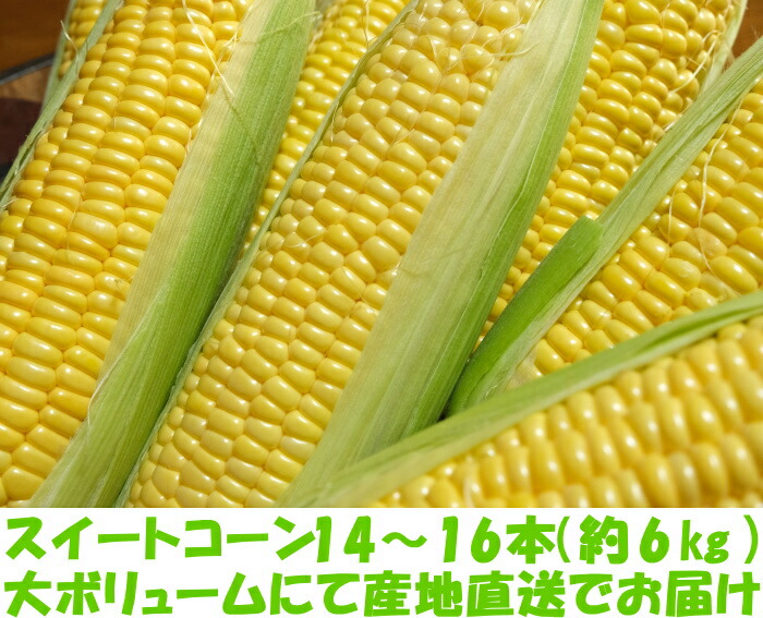 大分rとうもろこしベネ2
