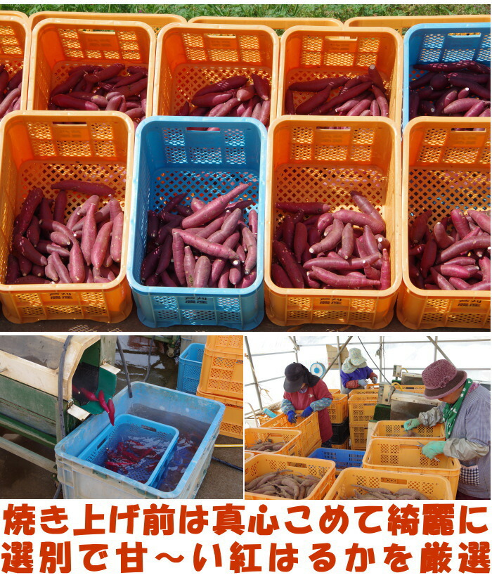 大分冷凍やき芋ベネ4