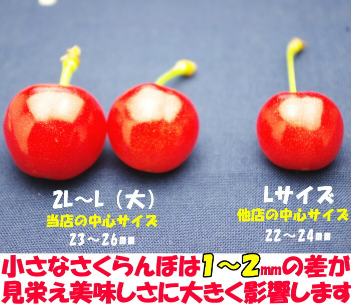 山形母の日さくらんぼベネ2