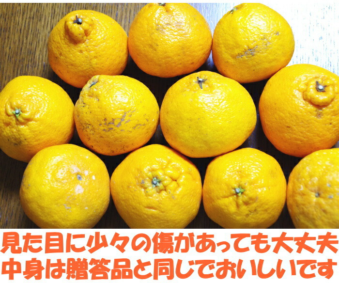 熊本訳あり不知火ベネ4