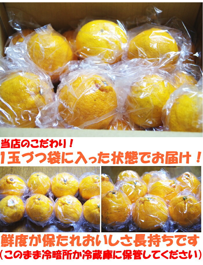 熊本不知火ベネ5