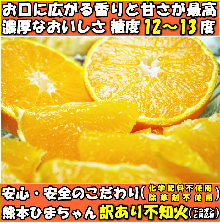 デコポン 同品種 不知火 訳あり 10kg 熊本 鮮度保持袋入 個包装 甘い