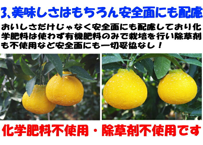 熊本ひまちゃん農園アピール3