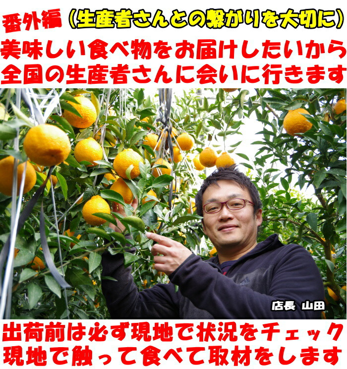 熊本ひまちゃん訪問1