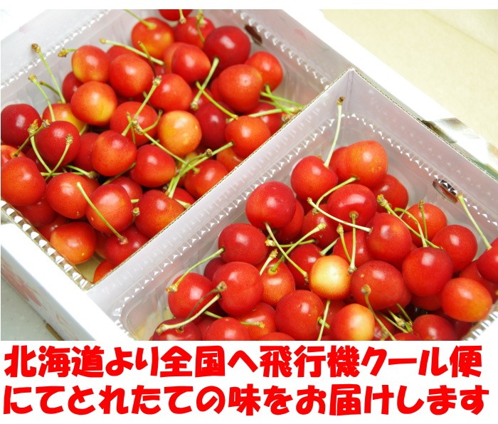 北海道さくらんぼベネ3