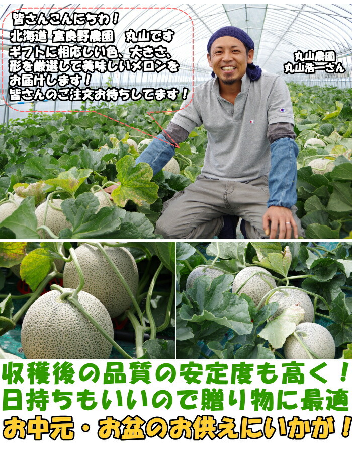 特秀品 贈答用 富良野メロン8キロ 24-46-1.jpg