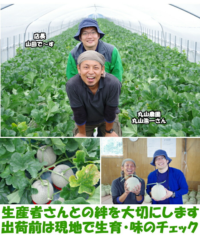 北海道丸山富良野メロン訪問
