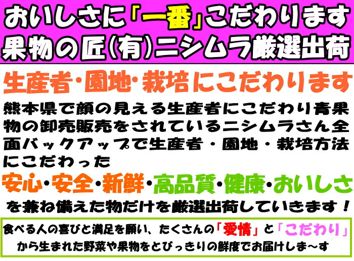熊本産地直送ニシムラさんアピール１