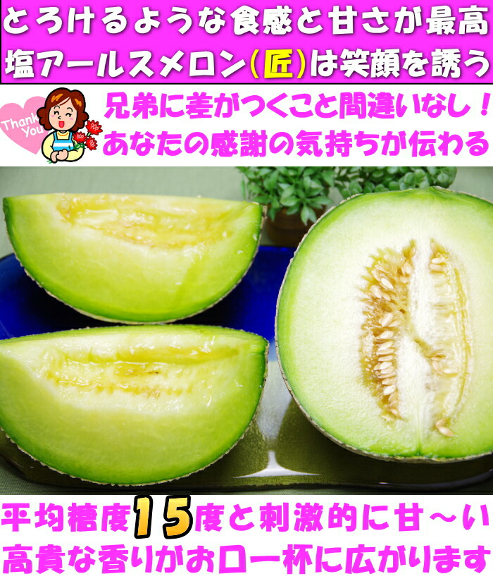 熊本母の日アールスメロンベネ１