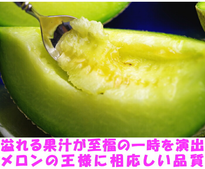 熊本母の日アールスメロンベネ2