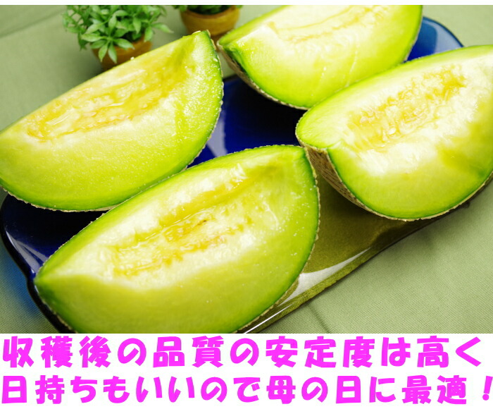 熊本母の日アールスメロンベネ3