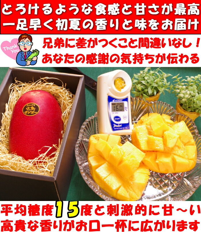 マンゴー 父の日 ギフト プレゼント 宮崎 完熟マンゴー 赤秀 糖度15度