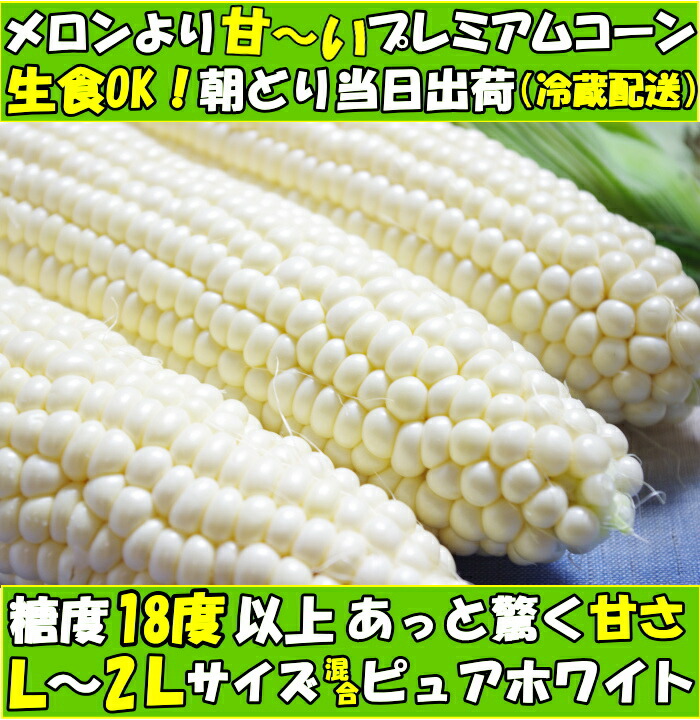 とうもろこし ピュアホワイト 甘い ギフト お中元 生で食べれる 白い プレゼント 糖度18 19度 香川 白 トウモロコシ 2l L 混合 5本 父の日 プレゼント 6月 Mitsutoyo Corn03 クックス産直ヤフー店 通販 Yahoo ショッピング