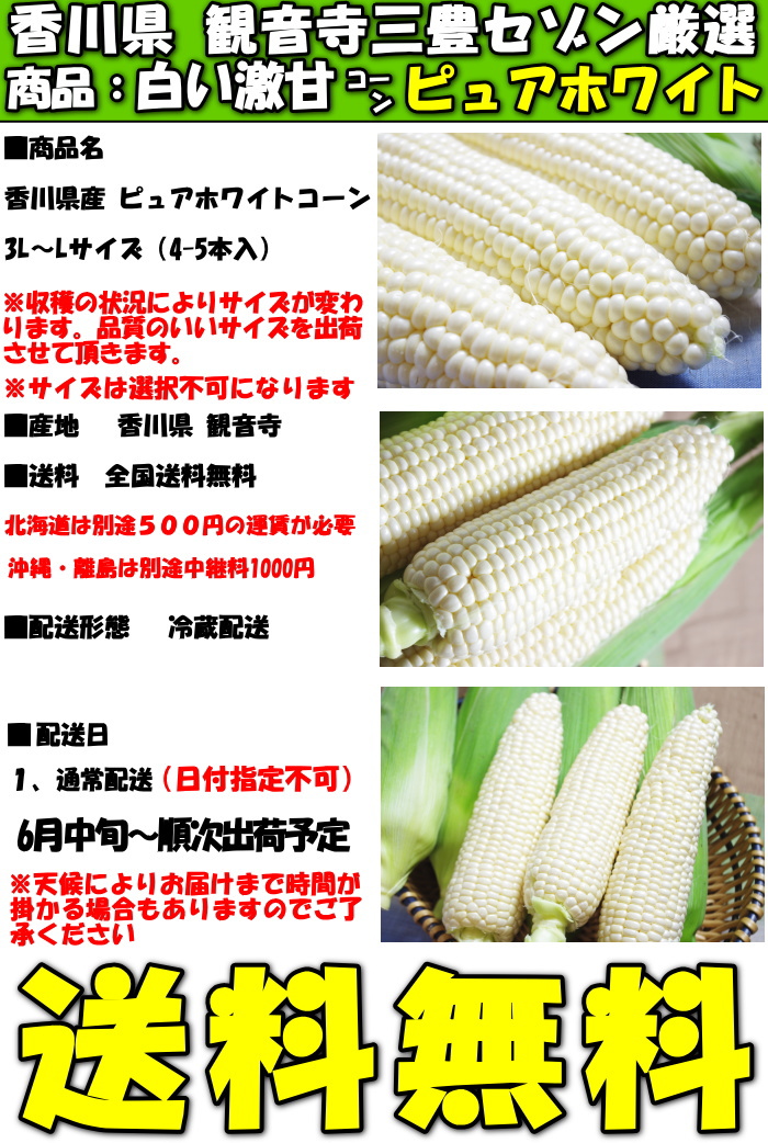 香川とうもろこしピュアホワイト5本スペック