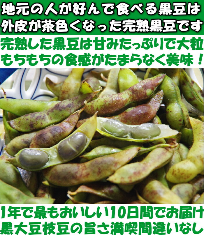 丹波篠山黒豆枝豆ベネ1