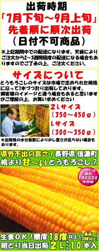 桃より甘い とうもろこし 生で食べれる 累計190 000本突破 県外不出 甘い 朝採 恵味 長野産 トウモロコシ 2lサイズ 10本 3 5 4 5kg お中元 送料無料 Nagano Corn01 クックス産直ヤフー店 通販 Yahoo ショッピング