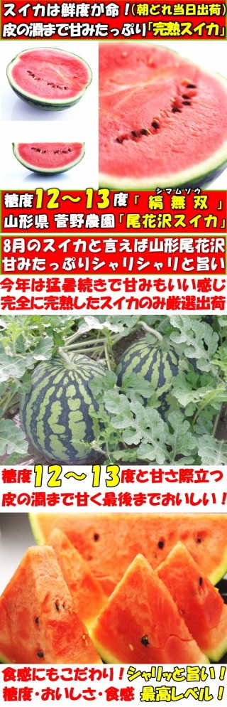 スイカ 甘い 糖度 贈答 山形 尾花沢 すいか 大玉 ギフト 6l サイズ 1玉 約11kg 11〜13人前 山形 菅野農園 尾花沢スイカ 直送 西瓜  品種 縞無双 お供え お盆 :obanazawa-kuroyama-06:クックス産直ヤフー店 通販 