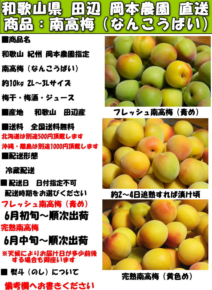 本場紀州南高梅 みなべ町産   追熟梅 (梅干し用) A級 2L・3L 10kg 南高梅 完熟 本場紀州産 クール便 送料無料 【 2L サイズ 10kg