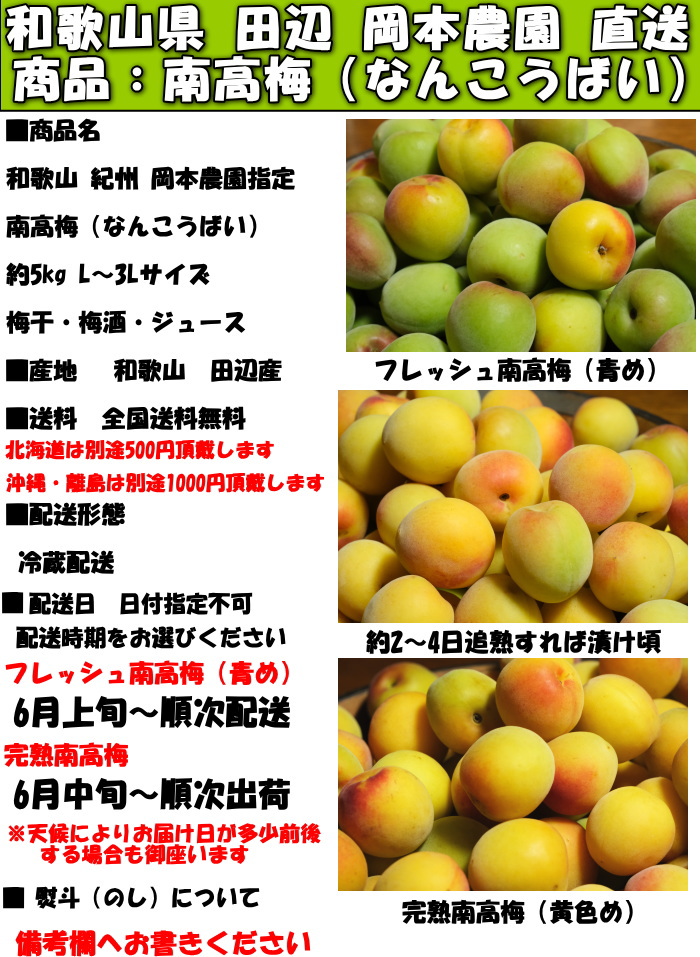 和歌山南高梅5kgスペック